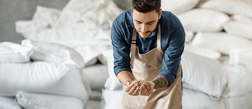 Quality raw materials for beer production, grain control for small business Quality raw materials for beer production, grain control for small business. Cheerful glad young handsome guy owner in apron checks barley in warehouse with white sacks of barley, empty space