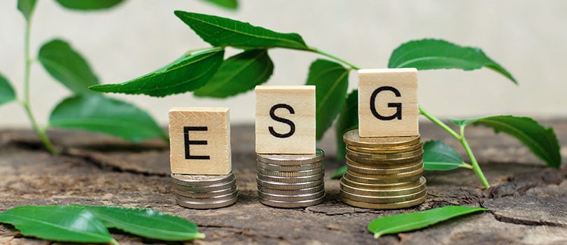 ESG abbreviation on wooden cubes, on coins framed by green leaves. The concept of environmental conservation. Environmental social management ESG abbreviation on wooden cubes, on coins framed by green leaves. The concept of environmental conservation. Environmental social management