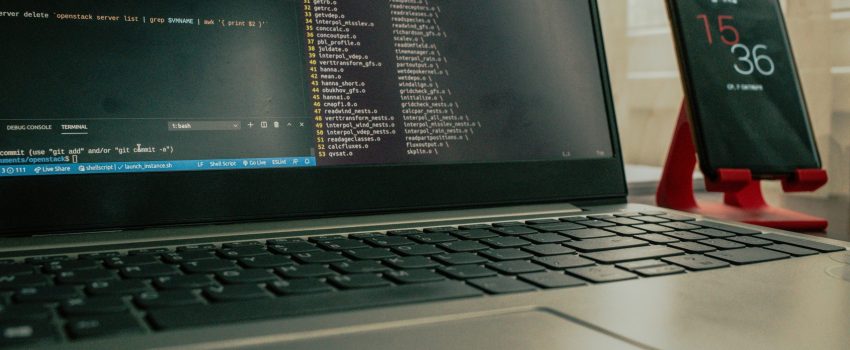 roman-synkevych-E-V6EMtGSUU-unsplash roman-synkevych-E-V6EMtGSUU-unsplash
