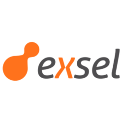 Exsel 250x250
