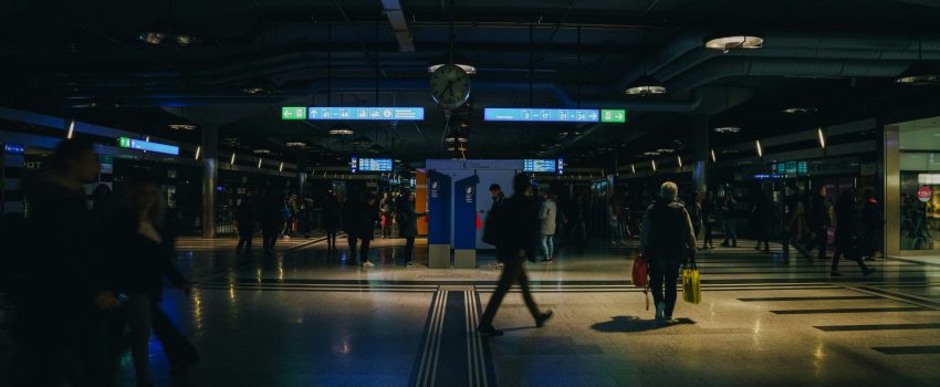 claudio-schwarz-uD-nqIY8mqk-unsplash claudio-schwarz-uD-nqIY8mqk-unsplash
