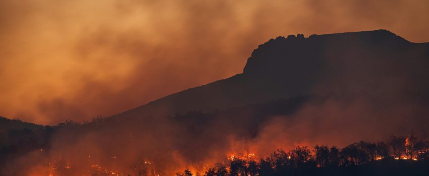 CALOR-matt-palmer-kbTp7dBzHyY-unsplash CALOR-matt-palmer-kbTp7dBzHyY-unsplash