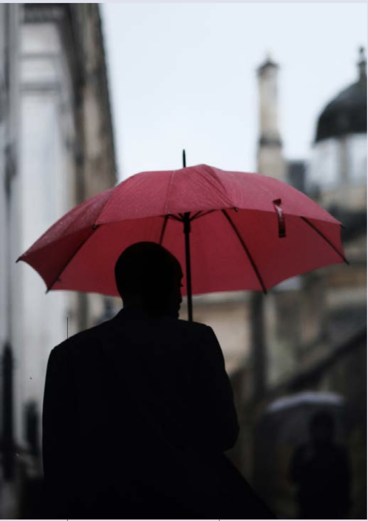 El ram de vida explora nous camins