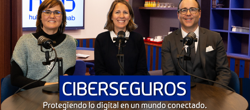 ciber web