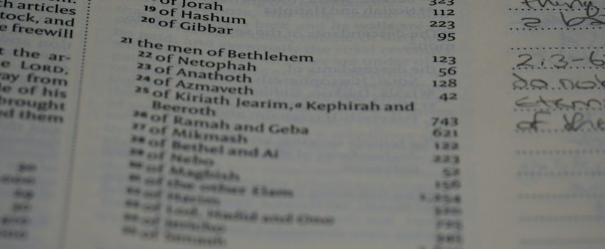 DEC-brett-jordan-uQcTM34Tn6U-unsplash DEC-brett-jordan-uQcTM34Tn6U-unsplash