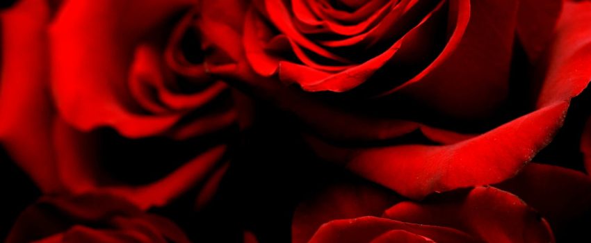 cody-chan-OsHqxjVV0HE-unsplash